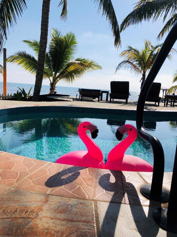 Coral Cove Inn Maya Beach Dış mekan fotoğraf